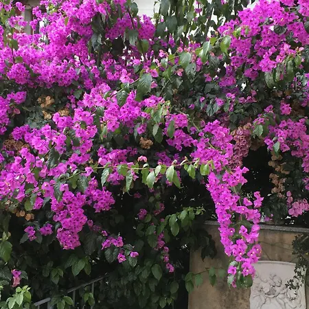 Charmantes Pfarrhaus Mit Seeblick Und Garten Appartement