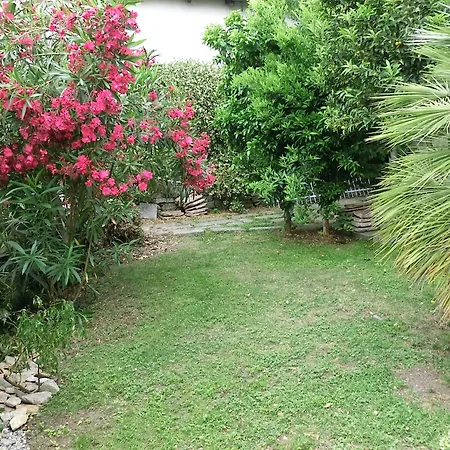 Apartment Charmantes Pfarrhaus Mit Seeblick Und Garten *